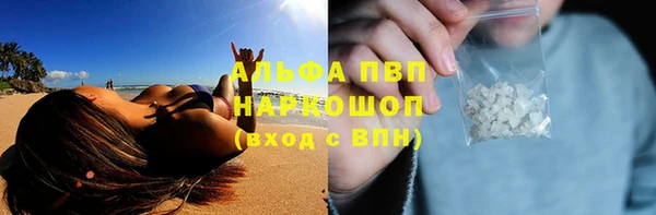 спиды Богданович