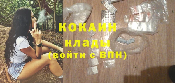 спиды Богданович