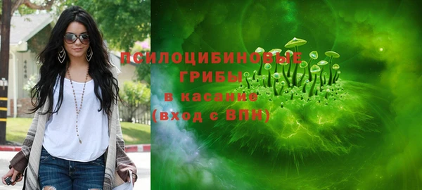 спиды Богданович