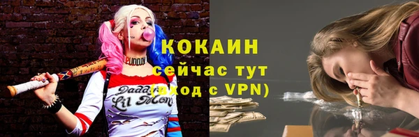 прущая мука Богородицк