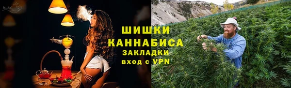 спиды Богданович