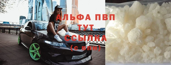 спиды Богданович