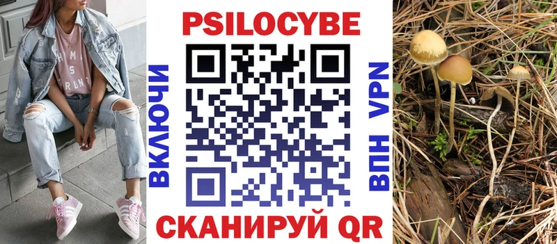 Галлюциногенные грибы Psilocybe  Дмитриев 