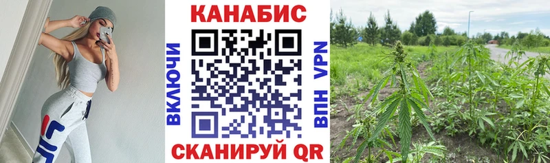 купить  цена  Дмитриев  ОМГ ОМГ   Конопля Bruce Banner 